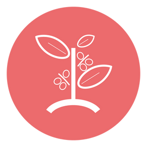 The Coffee Seed to Cup: Production and Harvest