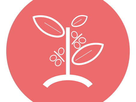 The Coffee Seed to Cup: Production and Harvest