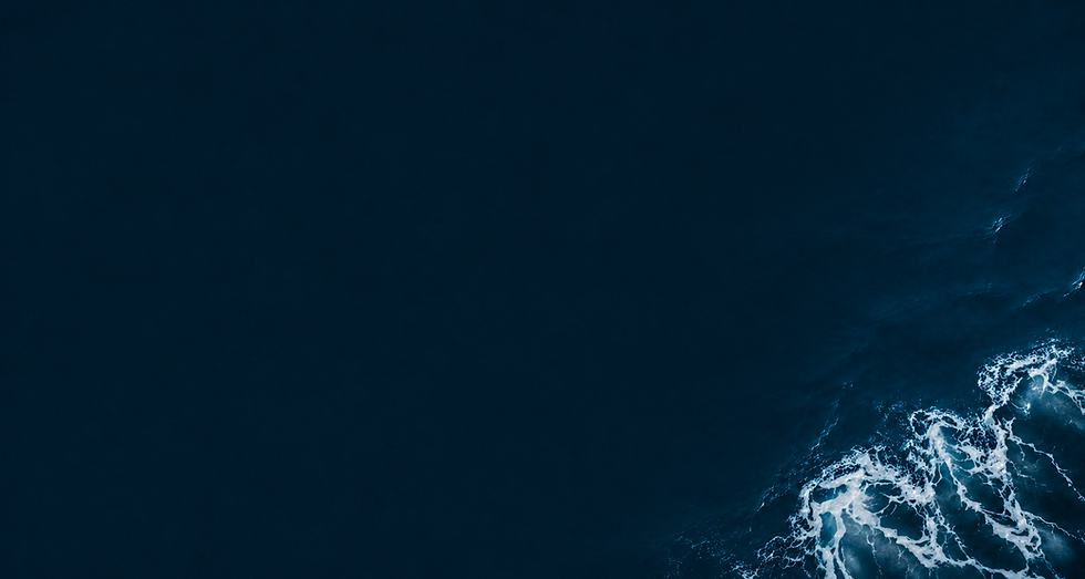 bg img.png