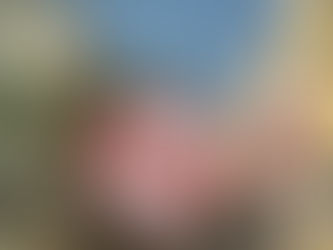 Residential Flat For Sale at Kovur 2BHK -RS 22Lakhs (Code :AA000096)