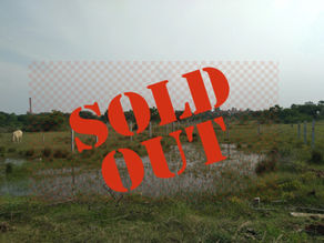 Residential Land in Rathinamangalam -45.6 Lakhs (Code :AA000027)