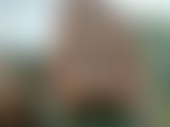 Residential 1Bhk Flat For Sale at Mudichur - RS 16 Lakhs (Code :AA000141)