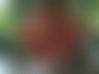 Residential Flat in  Chetpet 3BHK -1.37 Crores (Code :AA000019)