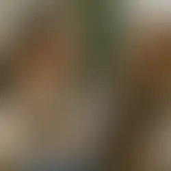 Testing Anxiety Therapy for Students That Works