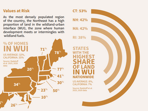 Wildfire Risks and Capacity in the Northeastern US