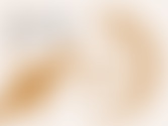 Wildfire Risks and Capacity in the Northeastern US