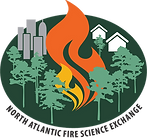 NAFSE logo transparent (1).png