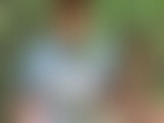 Fire-Effects on Hydrology in Forest Soils of the Northeastern United States 