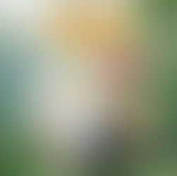 Posters giới thiệu