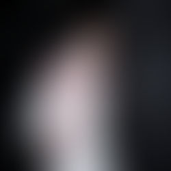 Đại Nhạc Hội OMO - Giữa Tán Rừng Xanh 01.02.2026