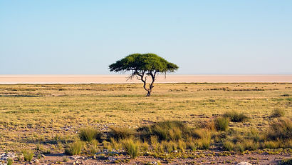 Flat land.jpg