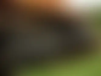 O que fazer em São Roque ? Roteiro Imperdível para Visitantes de Sorocaba e região !!