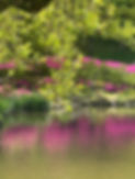 parc.jpg