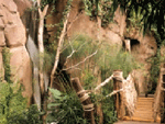 zoo_4.gif