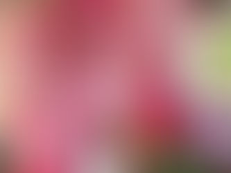 Un peu de douceurs GIRLY pour Athalie