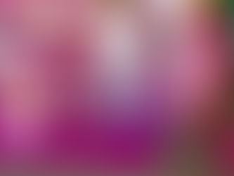 Zarah & Minnie Mouse