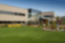 How-Professional-Lawn-Care-Adds-Value-01.jpg