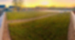 green-roof-on-building-1024x548.jpg