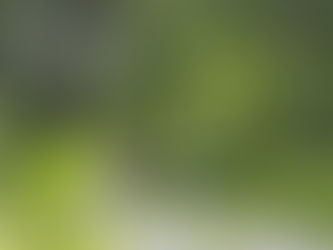 natur, rolige møteplasser, mennesker som gir trygghet, dagslys, trygge omgivelser, redusere stress