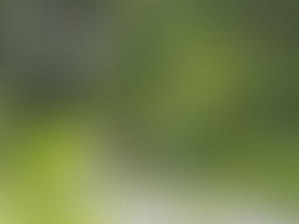 natur, rolige møteplasser, mennesker som gir trygghet, dagslys, trygge omgivelser, redusere stress