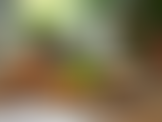 Thérapie Hormonale: Solutions pour un Équilibre Durabilité