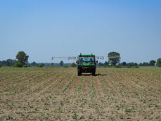 Weed Scouting Project - 2025