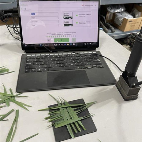 A laptop featuring Picketa software sits behind the Picketa lens and wheat leaves woven together for sampling.