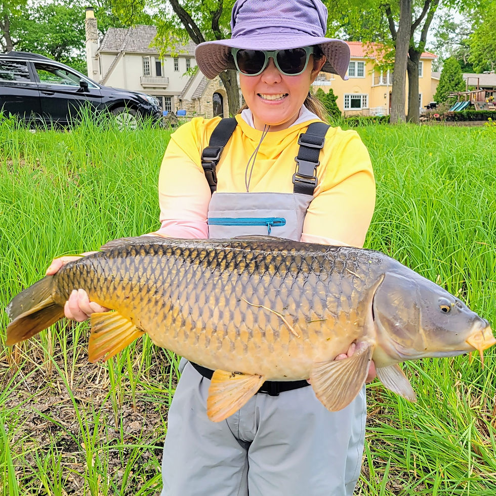 Carp Fishing 101: Urban Fly Fishing Experience