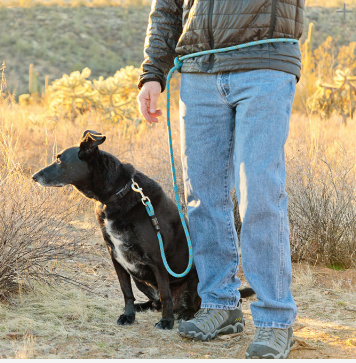 Mountain Dog 7 ft Versatile Leash