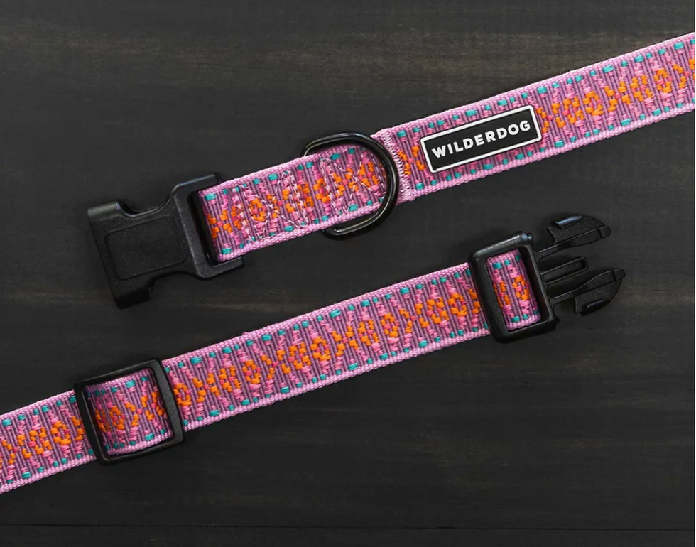 Thumbnail: Wilderdog Ultralight Collars