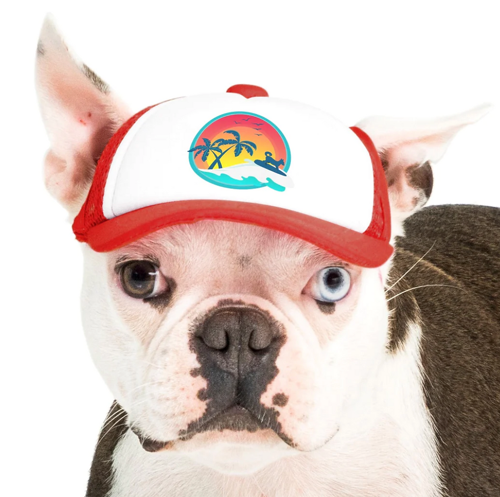 Thumbnail: PupLid Trucker Hat Sunset Surfer Design