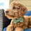 Thumbnail: Dog Bow Tie Elastics Plaids
