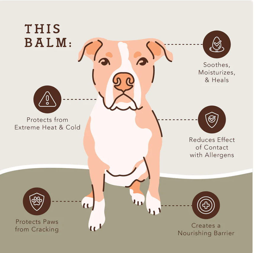 Thumbnail: Natural Dog Company Pawtection (2 sizes)