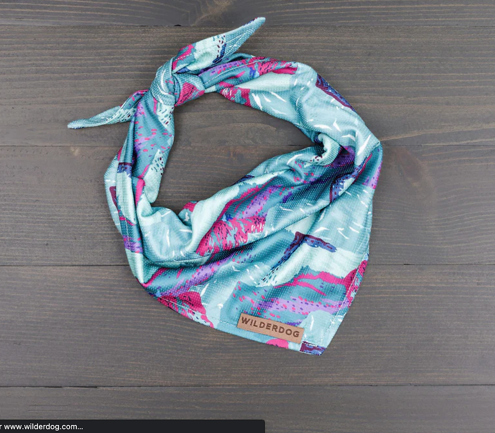 Thumbnail: Wilderdog Cooling Bandana