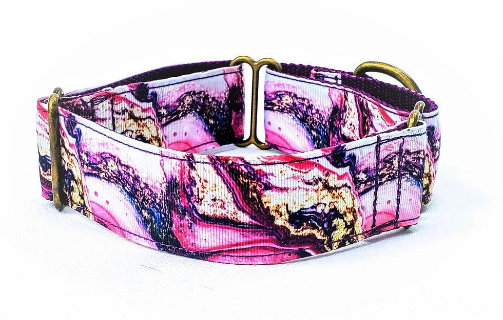 Greyt Styles Martingale Wide Collars (Med & Lg)