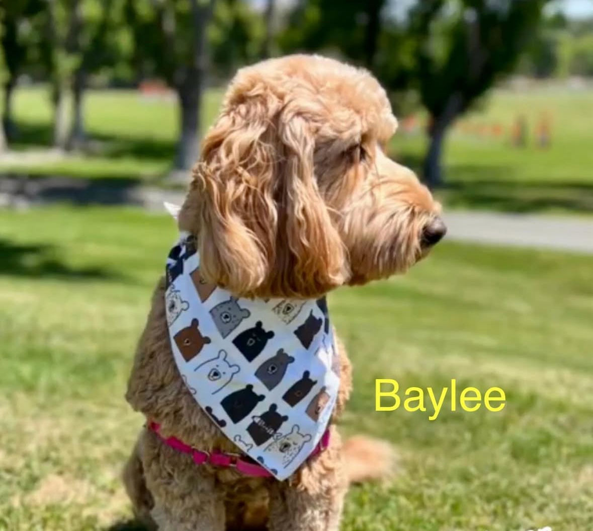 Stella Mae Fun Character Bandana