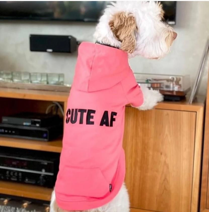 Thumbnail: Dog lightweight hoodies 