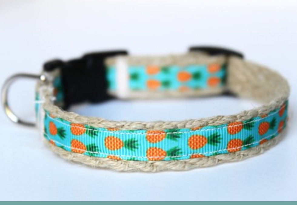 Green Bean Hemp Dog Collar Pineapples (5/8 inch wide)