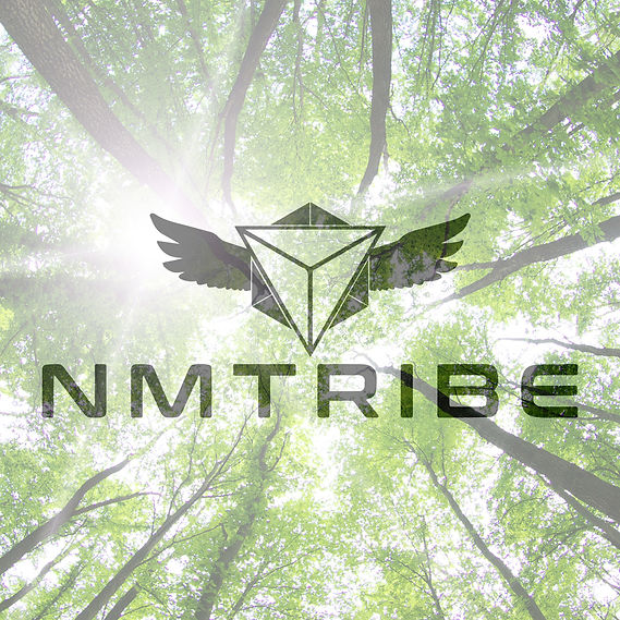 nmt vector_edited_edited.jpg