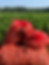 ree