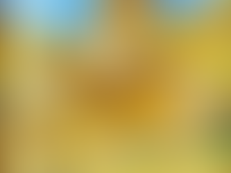 Igreja Românica, 2005.