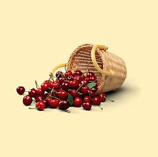 Etiqueta visual LIFE SPAIN.png