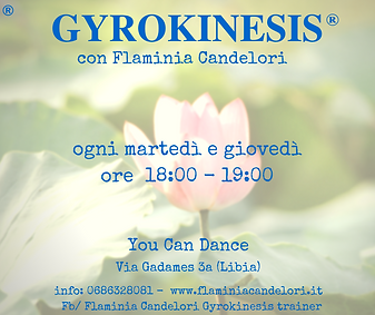 GYROKINESIS 2017 (2).png
