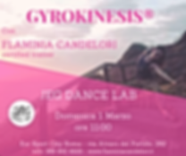 GYROKINESIS® (2).png