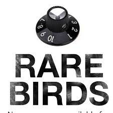 The Rare Birds Put Out New Rocking Single “Wire”, A Must Listen!