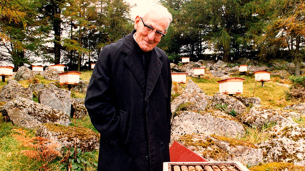 vente reine fécondée buckfast ligustica introduction achat essaim abeille ruche dadant apiculteur baptiste apiculture apicole essaimage miel noire cire