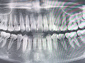 WhatsApp Image 2024-05-15 at 11.56_edite