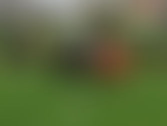 F1-Junioren: 12:0 Sieg gegen SG Handwerk Rabenstein II.