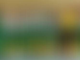 F1- 4. Platz beim Hallenturnier des FV Amtsberg