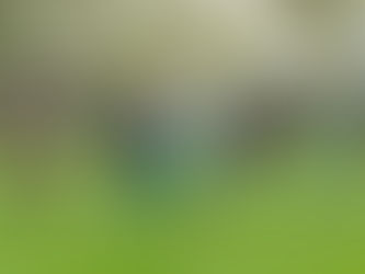 Serie gerissen- 1:2 Heimniederlage